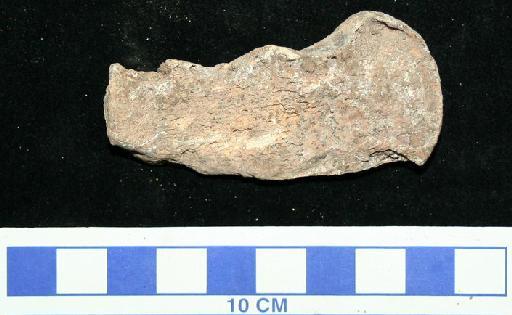 Bos Linnaeus, 1758 - M92678_1 Bos Mugharet el-Wad Postcranial element