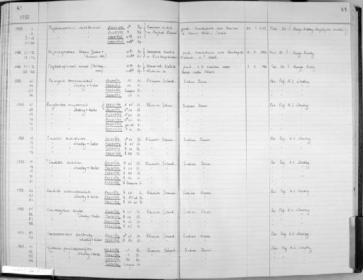 Phyllodiaptomus sashikumari - Zoology Accessions Register: Crustacea (Entomostraca): 1982 - 1993: page 41