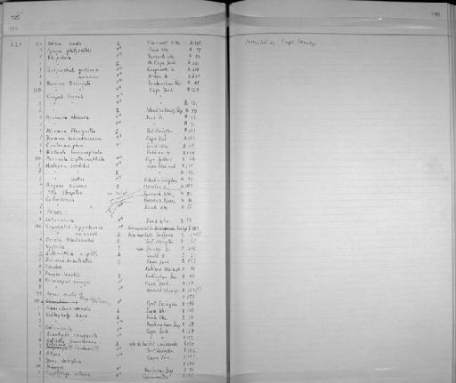 Cinclorhamphus mathewsi - Zoology Accessions Register: Aves (Skins): 1837 -1853: page 730