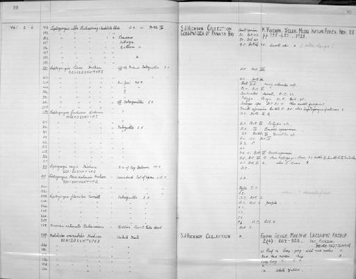 Leptogorgia trinidadensis Hickson, 1928 - Zoology Accessions Register: Coelenterata: 1958 - 1964: page 99