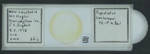 Aspidiotus cocheraui Matile-Ferrero & Balachowsky, 1973 - 010173058_117466_1097338