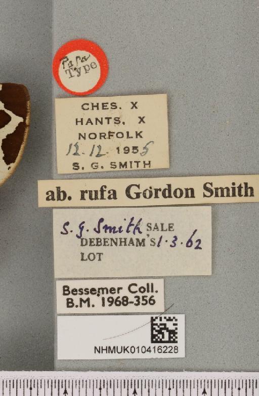 Arctia caja ab. rufa Smith, 1956 - NHMUK_010416228_label_528547