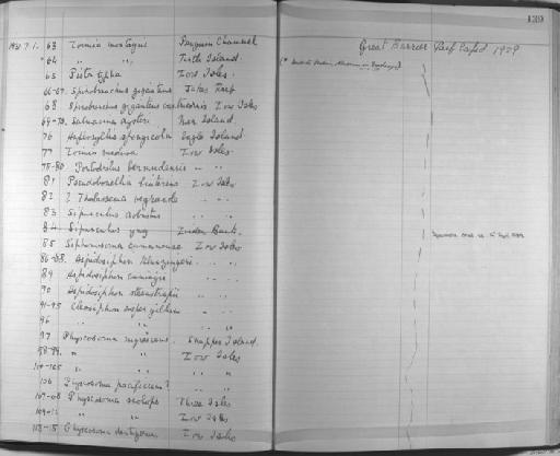Loimia montagui Grube - Zoology Accessions Register: Annelida & Echinoderms: 1924 - 1936: page 139