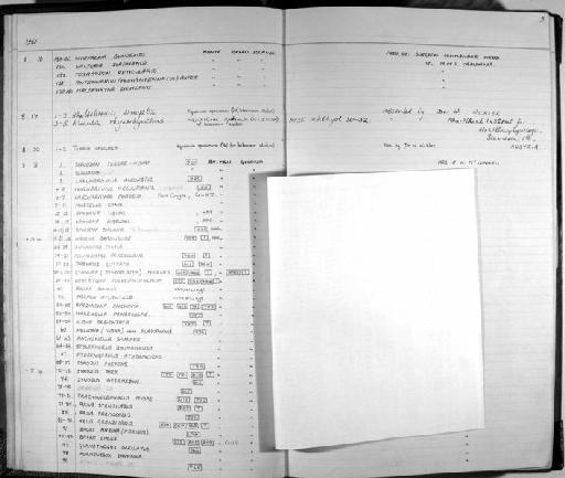 Athlis (ahlia) sp - Zoology Accessions Register: Fishes: 1961 - 1971: page 5