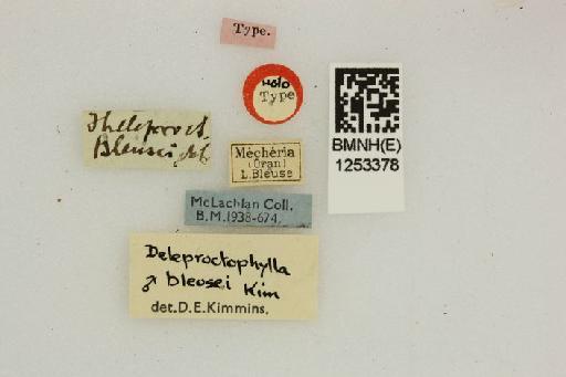Deleproctophylla bleuseli McLachlan - Deleproctophylla bleusi BMNHE 1253378 Holotype labels