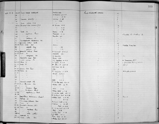 Gemmula graeffei (Weinkauff, 1875) - Zoology Accessions Register: Mollusca: 1938 - 1955: page 142