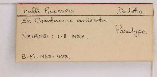 Rolaspis halli De Lotto, 1956 - 010714442_additional