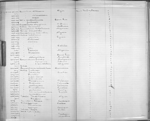 Punctum lederi subterclass Tectipleura (O. Boettger, 1880) - Zoology Accessions Register: Mollusca: 1894 - 1899: page 152