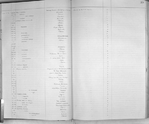 Odostomia ignorata subterclass Tectipleura (Monterosato, 1917) - Zoology Accessions Register: Mollusca: 1925 - 1937: page 30