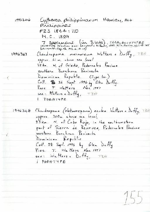 Chondropoma marmoreum Watters & Duffy, 2010 - Zoology Accessions Register: Mollusca: 1994 - 1997: page 155