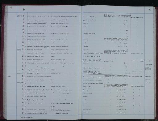 Vaginulina barnardi Gordon, 1965 - NHM-UK_P_DF118_04_07_0195