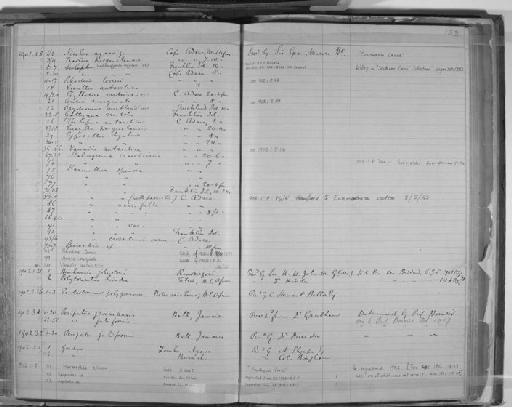 Nicolea agassizi - Zoology Accessions Register: Annelida & Echinoderms: 1884 - 1923: page 133