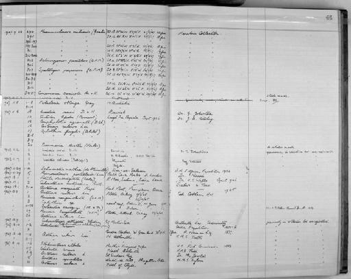 Luidia sarsi Düben & Koren in Düben, 1844 - Zoology Accessions Register: Echinodermata: 1935 - 1984: page 46