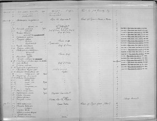Clausilia aurigani - Zoology Accessions Register: Mollusca: 1900 - 1905: page 175