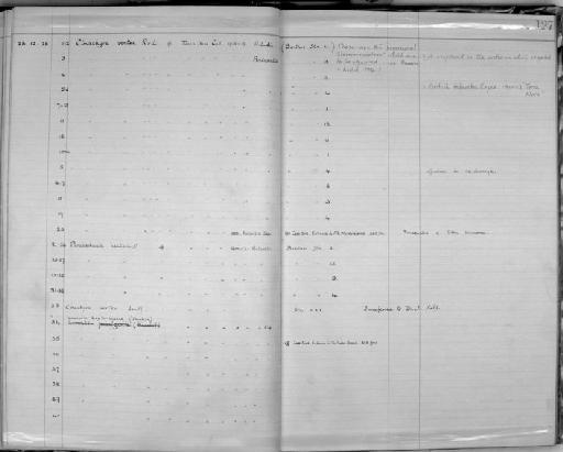 Cinachyra vertex Lendenfeld, 1907 - Zoology Accessions Register: Spongiida: 1918 - 1928: page 127