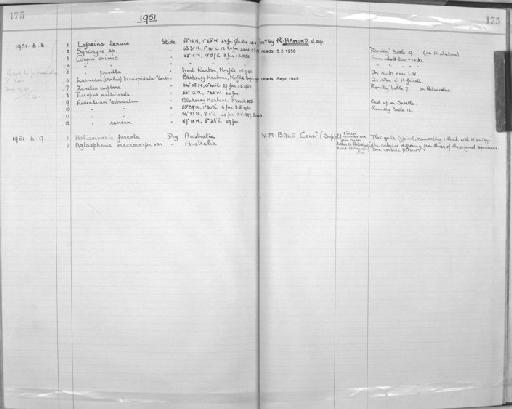 Lafoeina tenuis Sars, 1874 - Zoology Accessions Register: Coelenterata: 1934 - 1951: page 175