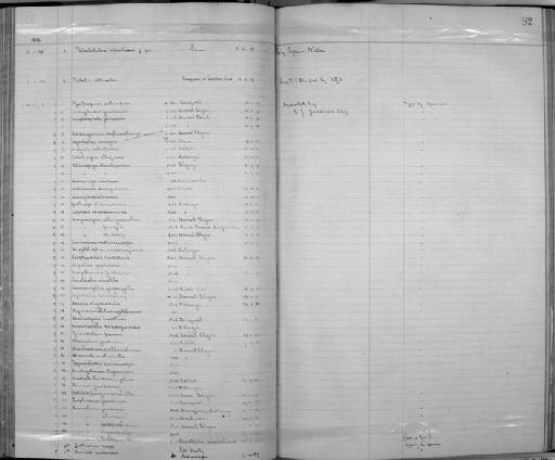 Apalis pulchra Sharpe, 1891 - Zoology Accessions Register: Aves (Skins): 1892 -1896: page 92