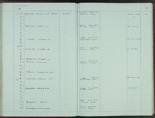 Majungaella pyriformis Bate, 1969 - NHM-UK_P_DF118_04_09_0093