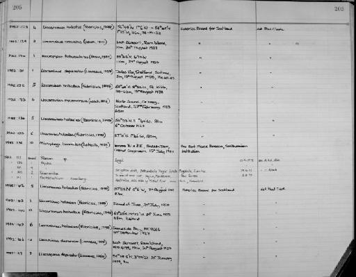 Palaemon - Zoology Accessions Register: Crustacea: 1976 - 1984: page 205