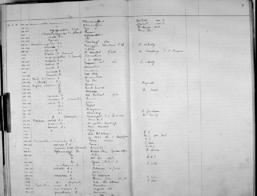 Synarmadillo marmoralis Budde-Lund - Zoology Accessions Register: Crustacea - Budde Lund Collection 1921 & Stebbing Collection 1928: page 9