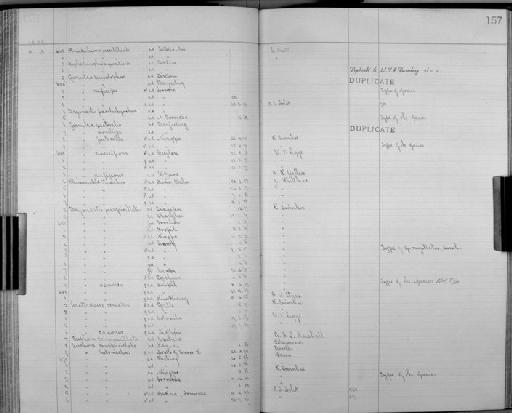 Garrulax rugillatus Swinhoe, 1860 - Bird Group Collector's Register: Aves - Seebohm & Hargitt Collection: 1896 - 1898: page 157