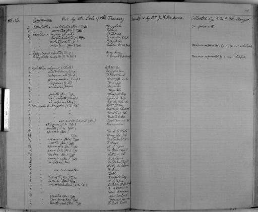 Petrolisthes serratus Henderson, 1888 - Zoology Accessions Register: Crustacea: 1876 - 1905: page 116