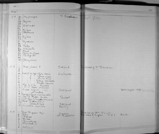 Porzana tabuensis immaculata - Zoology Accessions Register: Aves (Skins): 1837 -1853: page 508
