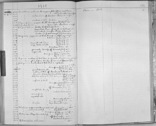 Uvigerina pygmaea D'Orbigny - Zoology Accessions Register: Spongiida & Protozoa: 1887 - 1918: page 184