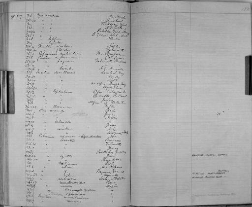 Palaemon membranaceus - Zoology Accessions Register: Crustacea: 1876 - 1905: page 180