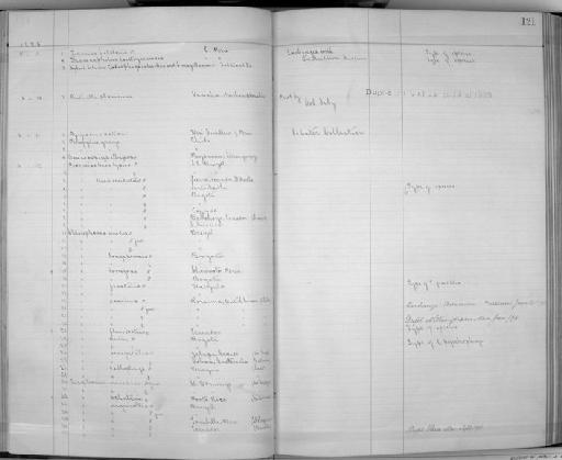 Thamnophilus loretoyacuensis Bartlett, 1882 - Zoology Accessions Register: Aves (Skins): 1884 -1888: page 121