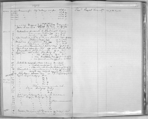 Miliolina funafutiensis Chapman - Zoology Accessions Register: Spongiida & Protozoa: 1887 - 1918: page 81