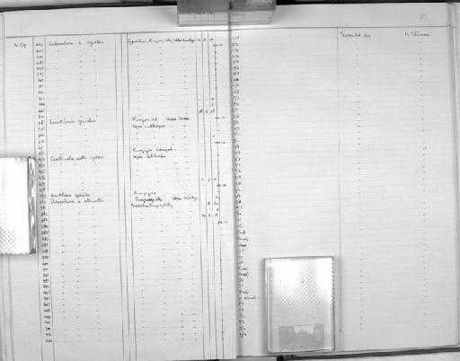 Rhipidura albicollis albicollis - Zoology Accessions Register: Aves (Nest): 1959 - : page 96