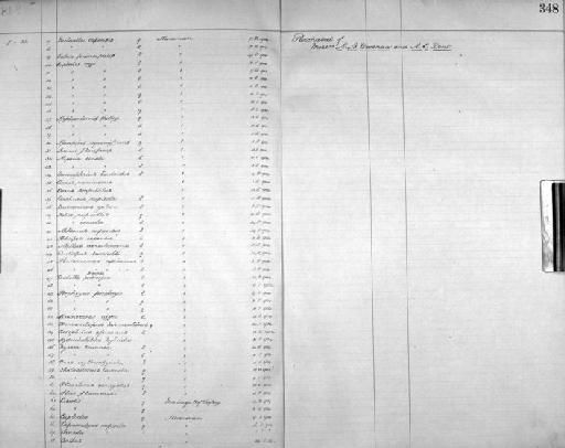 Saxicola torquata - Zoology Accessions Register: Aves (Skins): 1902 - 1904: page 348