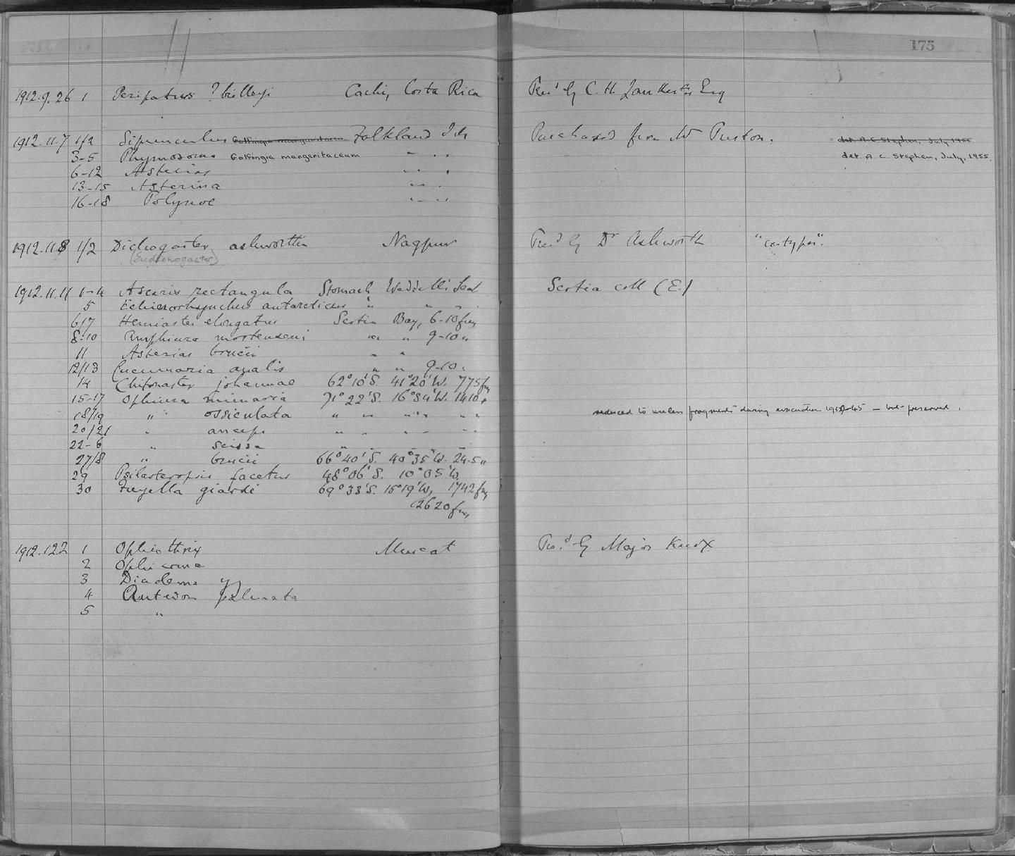 Zoology Accessions Register: Annelida & Echinoderms: 1884 - 1923: page 175