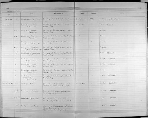 Lepidapedon gaevskayae Campbell & Bray, 1993 - Zoology Accessions Register: Platyhelminth: 1987 - 1993: page 193