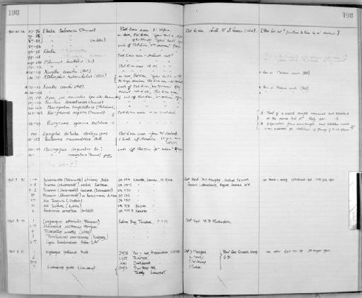 Palaemonetes africanus Balss, 1916 - Zoology Accessions Register: Crustacea: 1935 - 1962: page 198