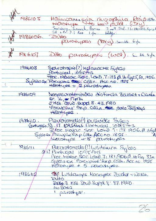 Neopleurotomoides distincta Bouchet & Warén, 1980 - Zoology Accessions Register: Mollusca: 1986 - 1993: page 26
