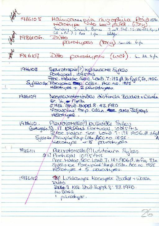 Mainwaringia rhizophila D. Reid, 1986 - Zoology Accessions Register: Mollusca: 1986 - 1993: page 26