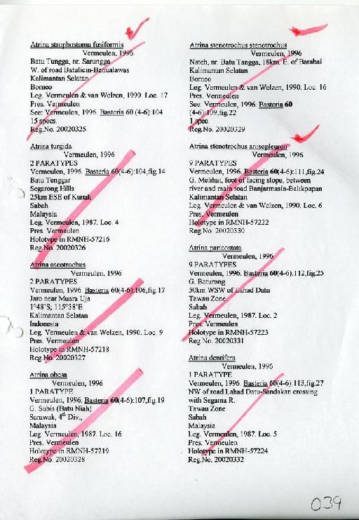 Arinia turgida Vermeulen, 1996 - Zoology Accessions Register: Mollusca: 2002: page 39