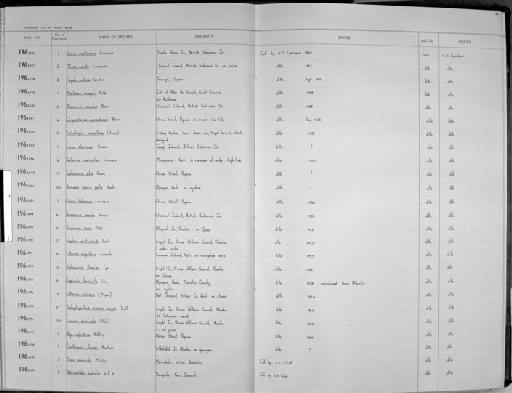 Conus ebraeus Linnaeus, 1758 - Zoology Accessions Register: Mollusca: 1962 - 1969: page 24