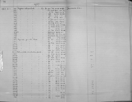 Aegina citrea Eschscholtz, 1829 - Zoology Accessions Register: Coelenterata: 1951 - 1958: page 75