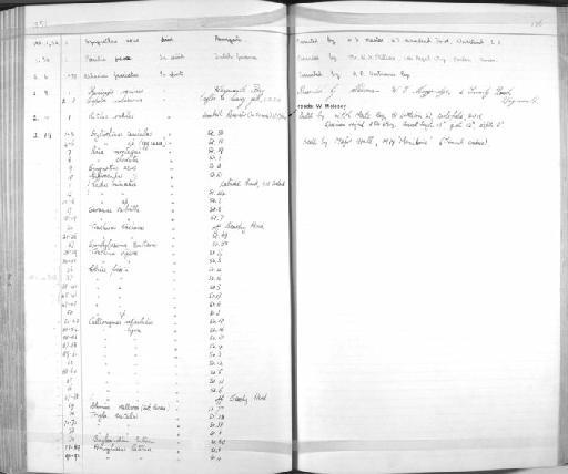 Gobius friesii Malm, 1874 - Zoology Accessions Register: Fishes: 1937 - 1960: page 126