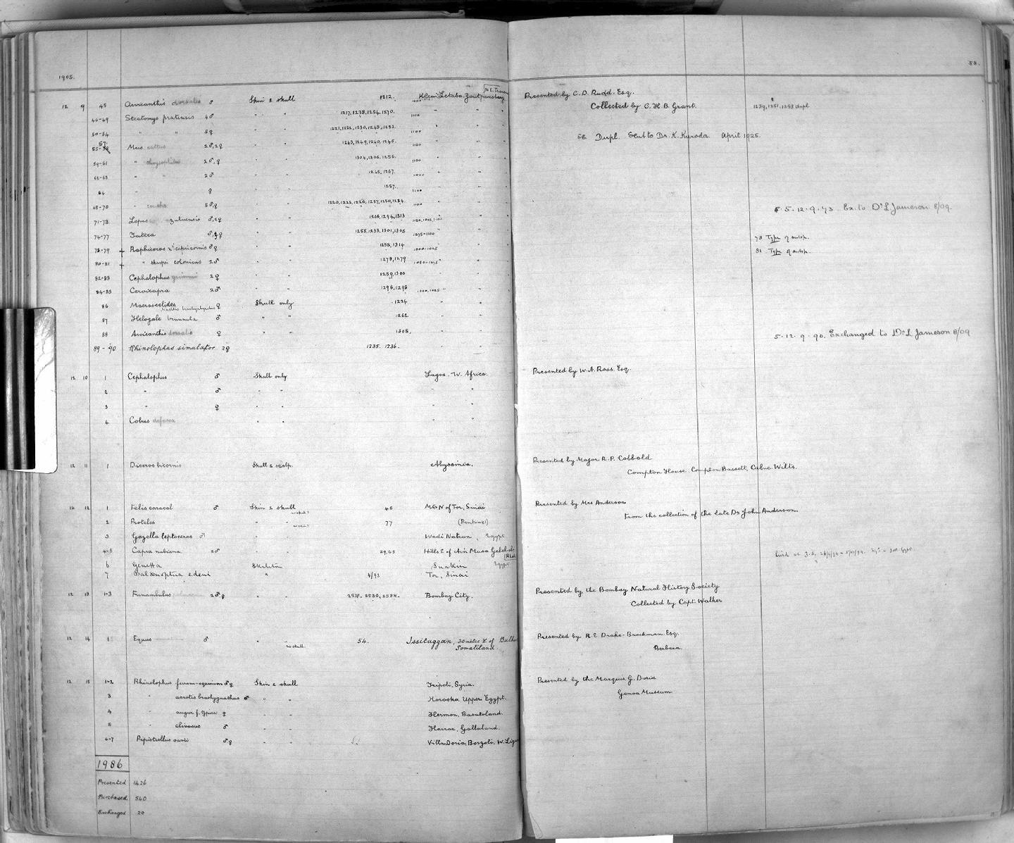 Zoology Accessions Register: Mammals: 1904 - 1910: page 58
