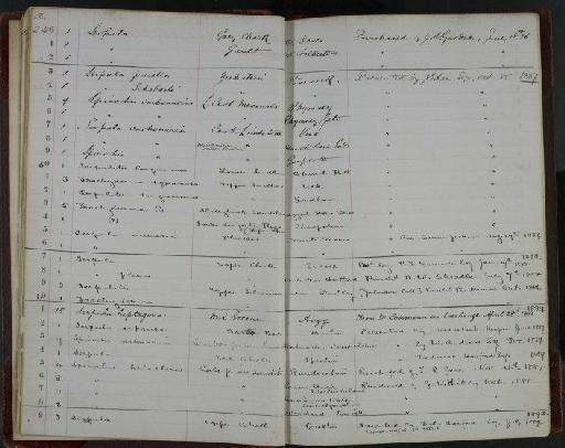 Serpula pusilla Geinitz, 1848 - NHM-UK_P_DF118_02_09_0021