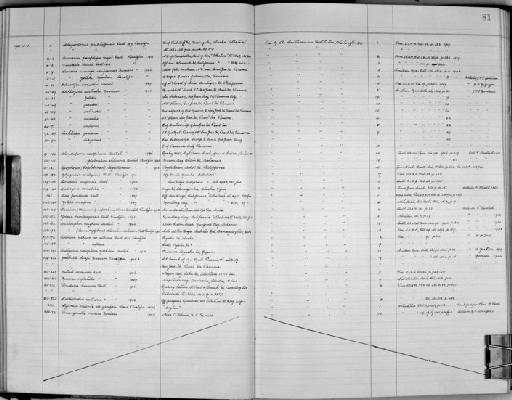 Katayama nosophora yoshidai Bartsch, 1936 - Zoology Accessions Register: Mollusca: 1938 - 1955: page 81