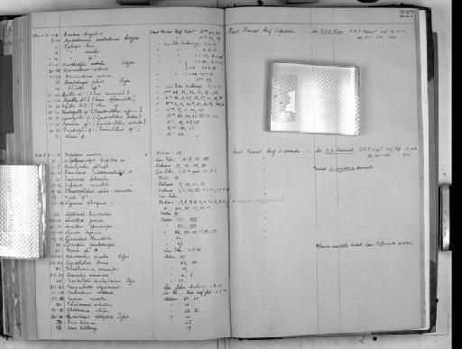 Campylaspis pileus Foxon, 1932 - Zoology Accessions Register: Crustacea: 1905 - 1935: page 227