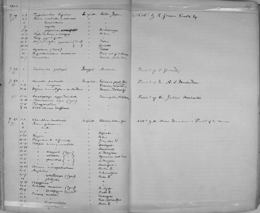 Ancistrus brevipinnis (Regan, 1904) - Zoology Accessions Register: Reptiles & Fishes: 1904 - 1925: page 56