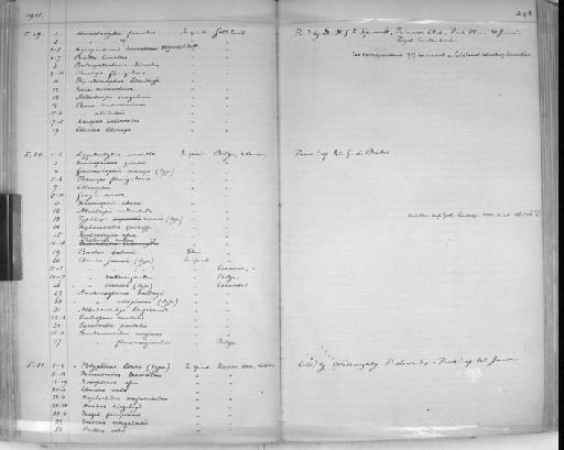 Clarias esamesae Boulenger, 1911 - Zoology Accessions Register: Reptiles & Fishes: 1904 - 1925: page 248