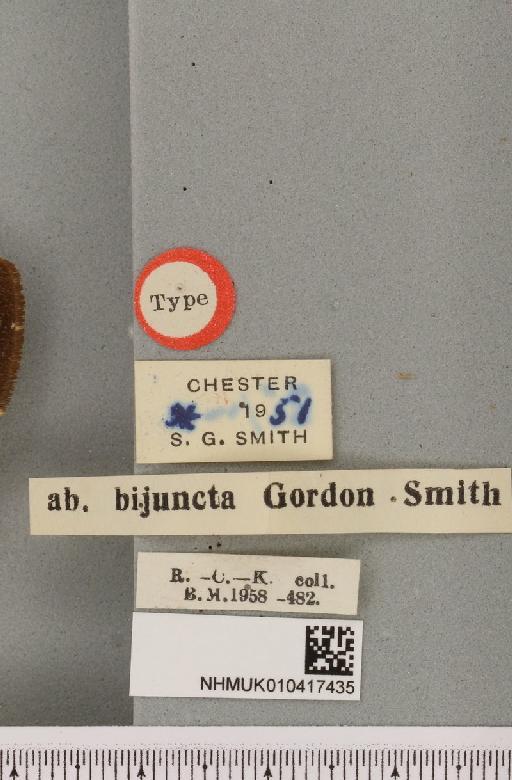 Arctia caja ab. bijuncta Smith, 1953 - NHMUK_010417435_label_529882