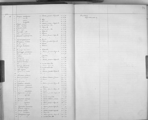 Muscicapa caerulescens cinereola Hartlaub & Finsch, 1870 - Zoology Accessions Register: Aves (Skins): 1900 -1902: page 75